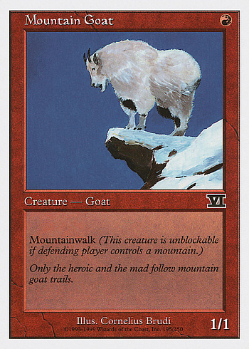 Mountain Goat