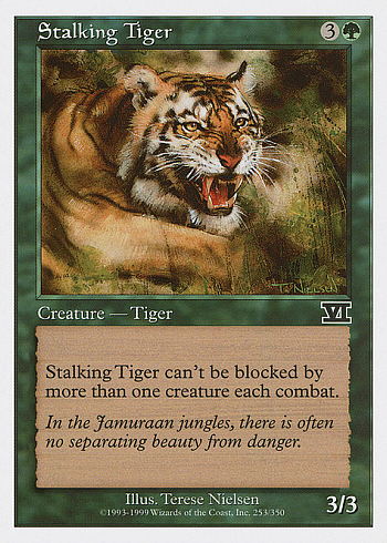 Stalking Tiger