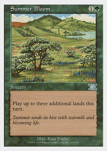 Summer Bloom