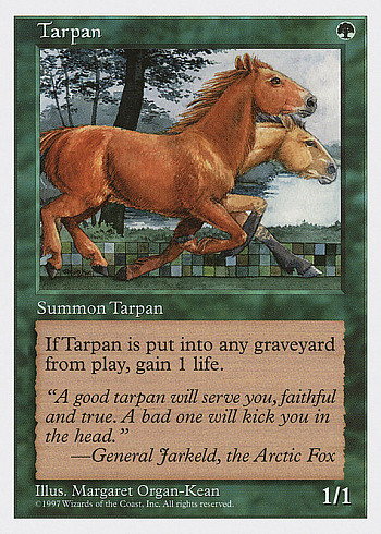 Tarpan