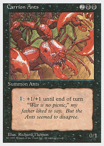 Carrion Ants