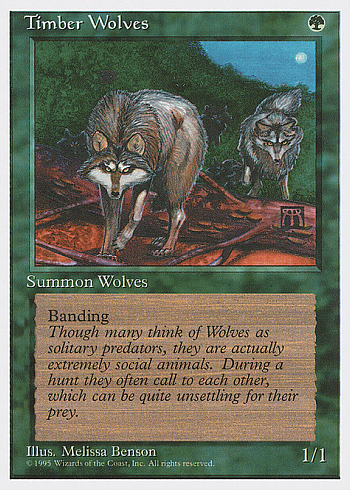 Timber Wolves
