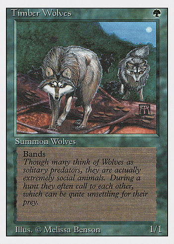 Timber Wolves