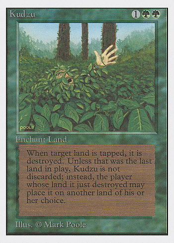 Kudzu