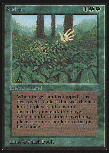 Kudzu