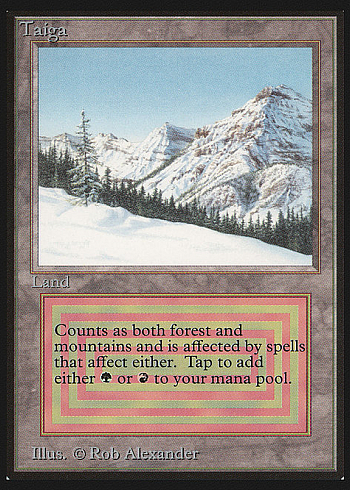 Taiga
