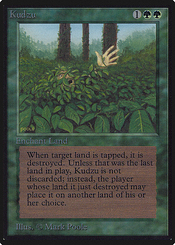 Kudzu