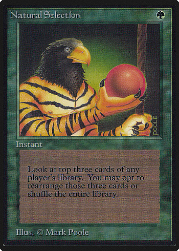 Natural Selection