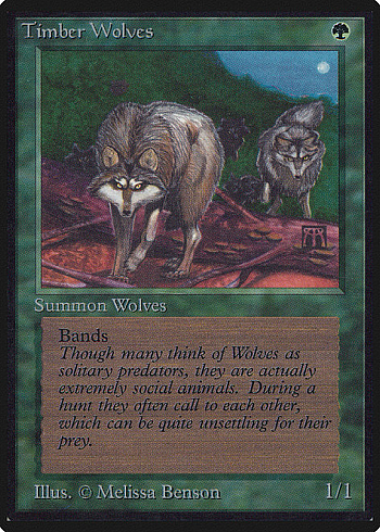 Timber Wolves