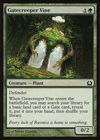 Gatecreeper Vine