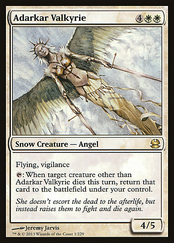 Adarkar Valkyrie