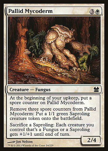 Pallid Mycoderm