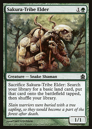 Sakura-Tribe Elder