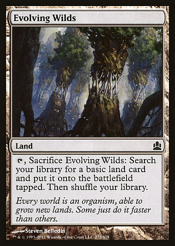 Evolving Wilds