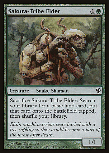 Sakura-Tribe Elder