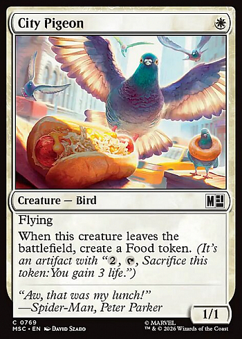 City Pigeon