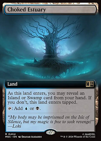 Choked Estuary
