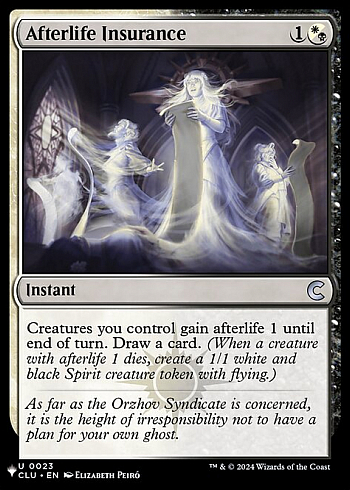 Afterlife Insurance