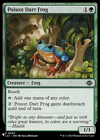 Poison Dart Frog