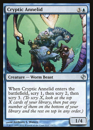 Cryptic Annelid