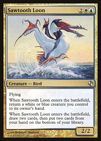 Sawtooth Loon