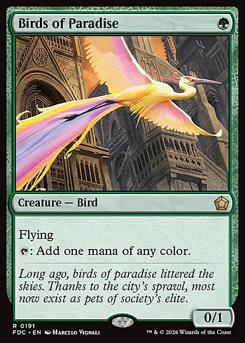 Birds of Paradise