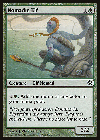 Nomadic Elf