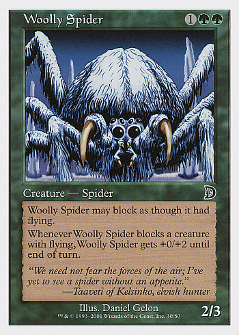 Woolly Spider