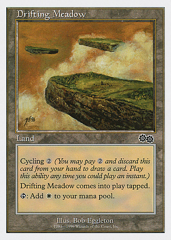 Drifting Meadow