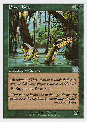 River Boa