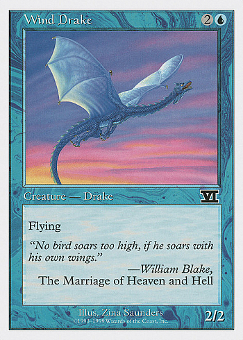 Wind Drake