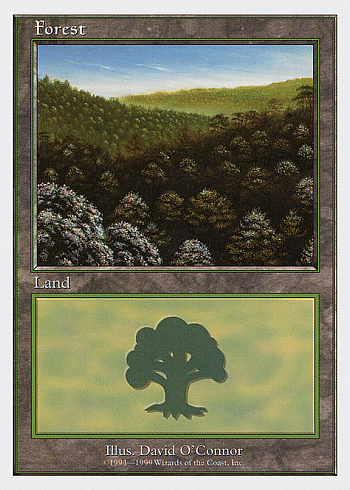 Forest