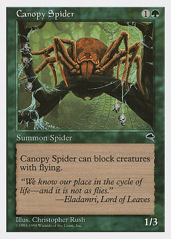 Canopy Spider
