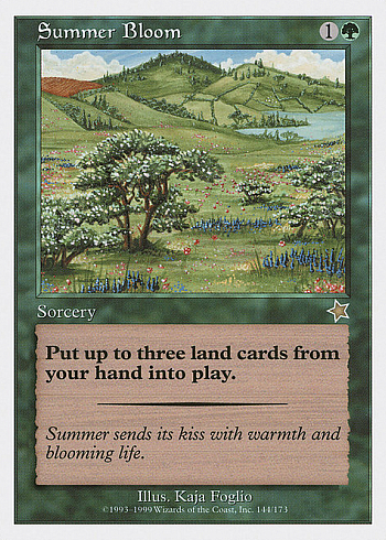 Summer Bloom