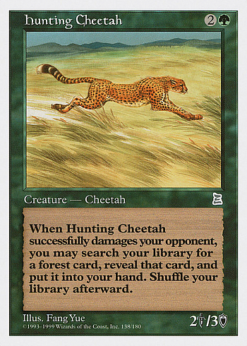 Hunting Cheetah
