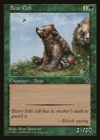 Bear Cub