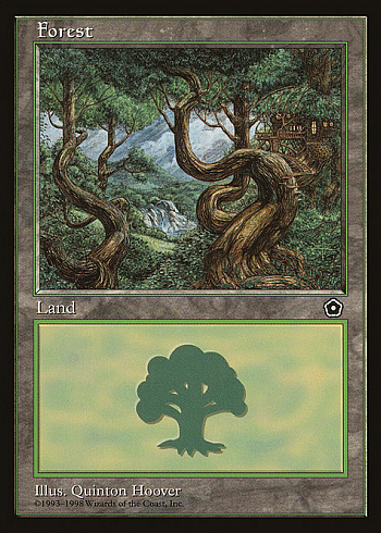 Forest