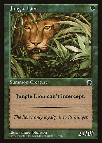 Jungle Lion