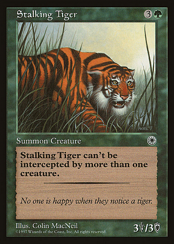 Stalking Tiger