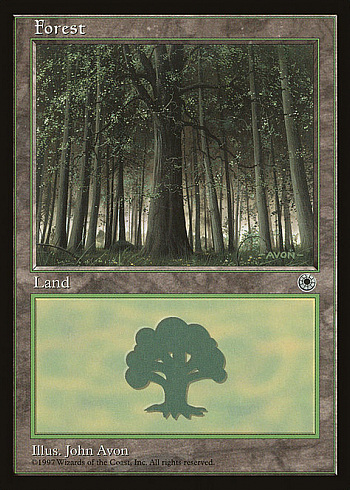 Forest