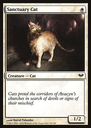Sanctuary Cat