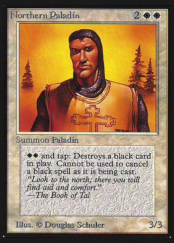 Northern Paladin