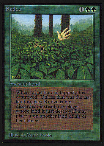 Kudzu