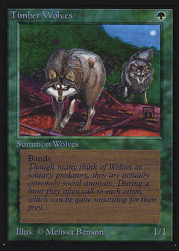 Timber Wolves