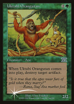 Uktabi Orangutan