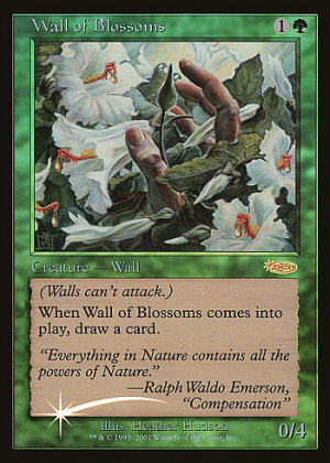 Wall of Blossoms