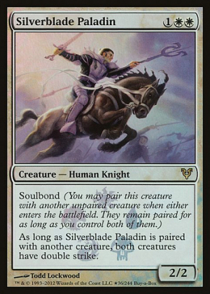 Silverblade Paladin