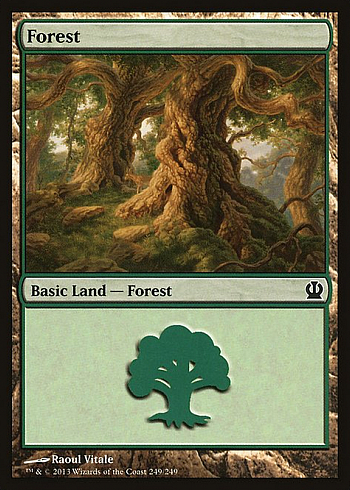 Forest