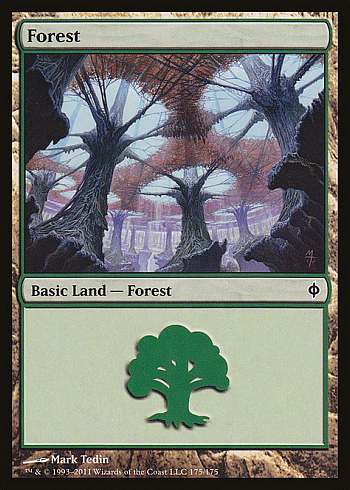 Forest