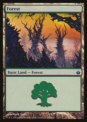 Forest